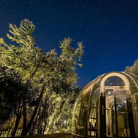 ラグジュアリーテント Bubble Antares *