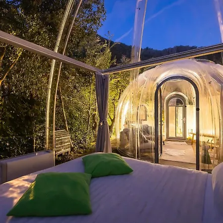 Bubble Antares * Бадалукко