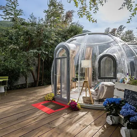 Bubble Antares * Бадалукко